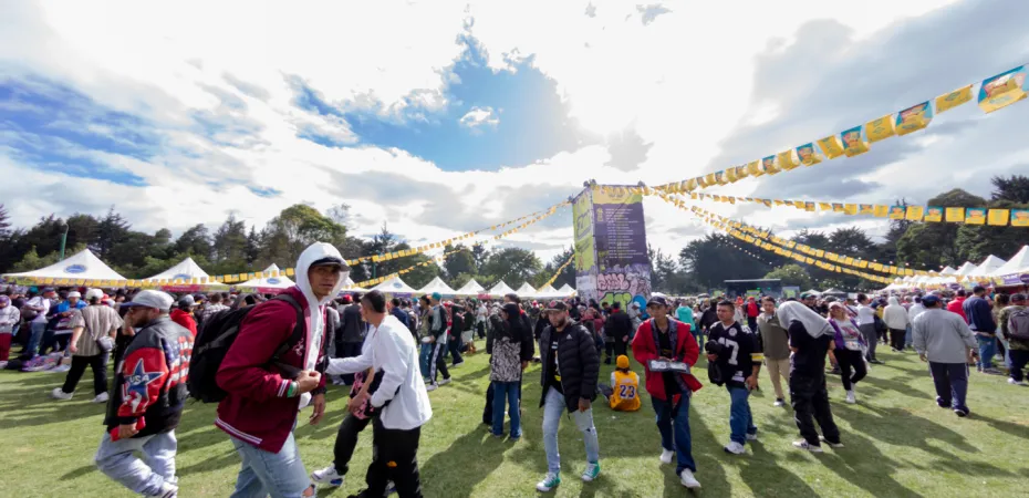 La Lírica en Imágenes