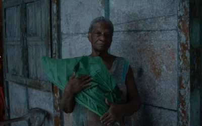 «Yo vi tres luces negras», un trance selvatico